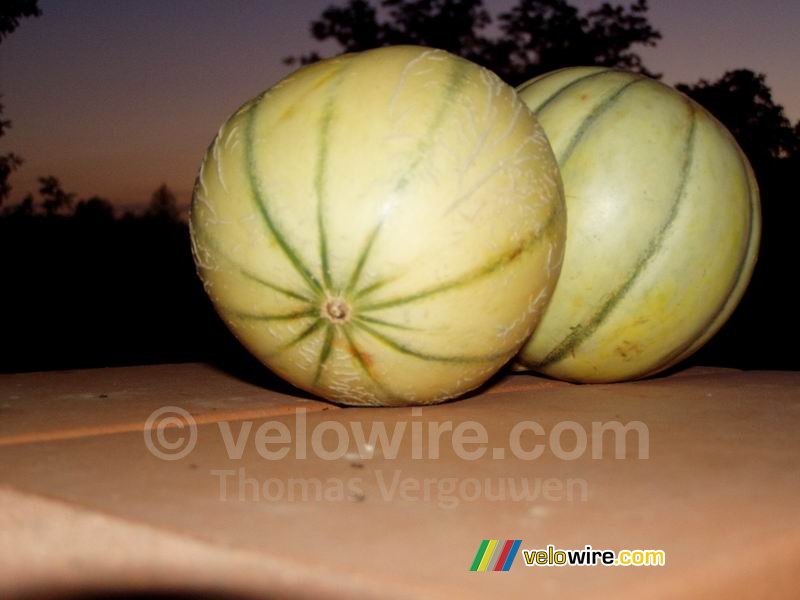 A still life of two melons