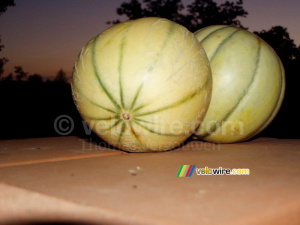 Une nature morte de deux melons (473x)