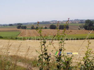 Hay bales in the field (224x)