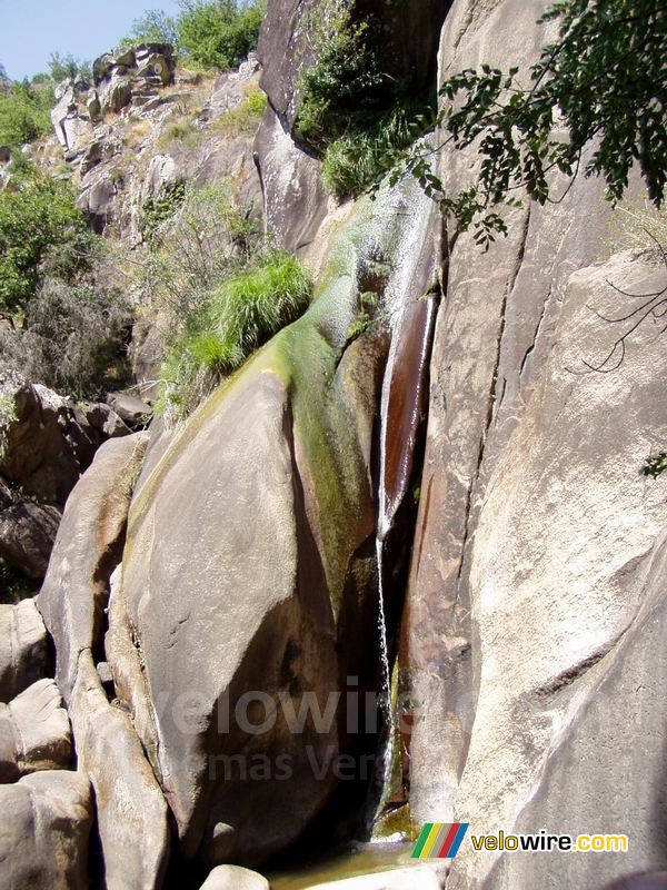 Saut de la truite (trout jump)