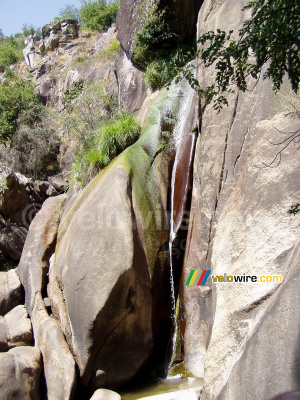 Saut de la truite (trout jump) (235x)