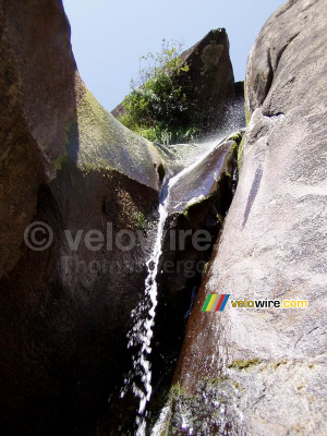 Saut de la truite (trout jump) (233x)