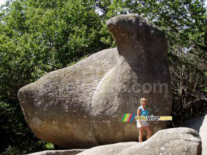 Roc de l'oie (goose rock) (293x)