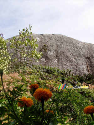 The 'Tremblant des sept faux' behind some flowers (202x)
