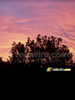 A tree in front of a colourful sky (217x)