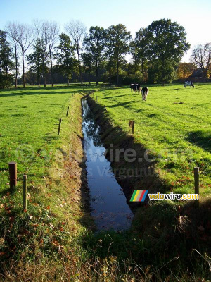 A typical dutch landscape (I) (346x)