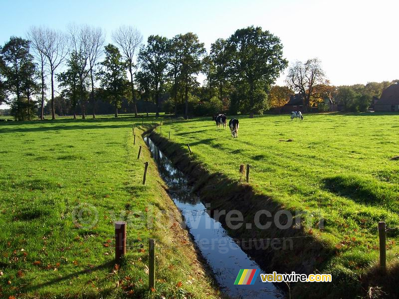 Een typisch Nederlands landschap (II)