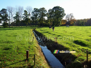 A typical dutch landscape (II) (543x)