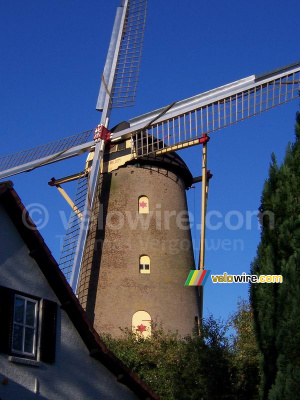The 'Korenbloem' mill in Ulvenhout (I) (267x)