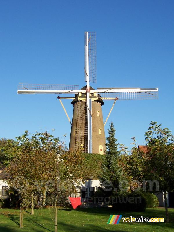 Molen de Korenbloem in Ulvenhout (II)