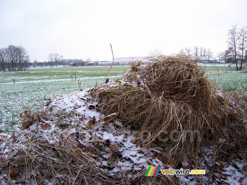 Une image hivernale II