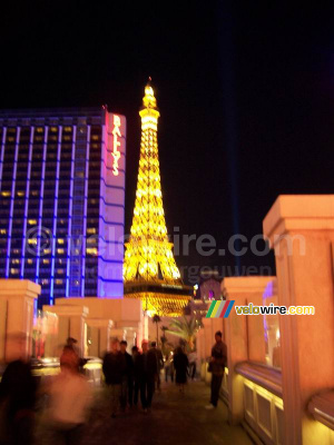 The Eiffel tower (311x)