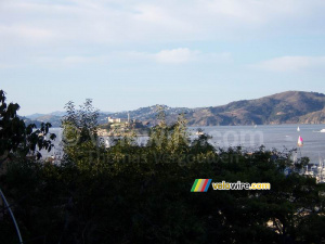 Alcatraz (275x)