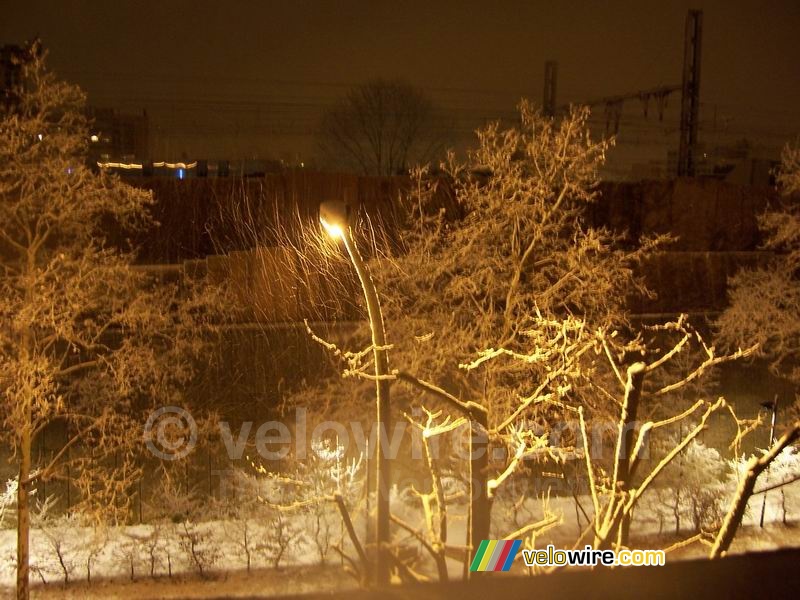 Besneeuwde bomen gezien vanaf de 4de verdieping