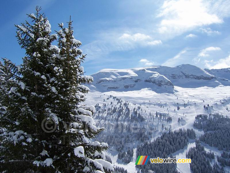 La vue depuis notre pique-nique