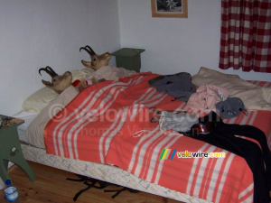 Who's that in this bed? (1/2) (205x)