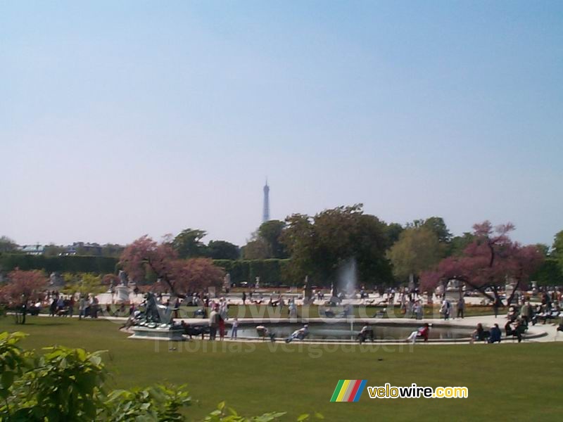 Jardin des Tuileries 1