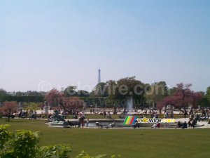 Jardin des Tuileries 1 (506x)