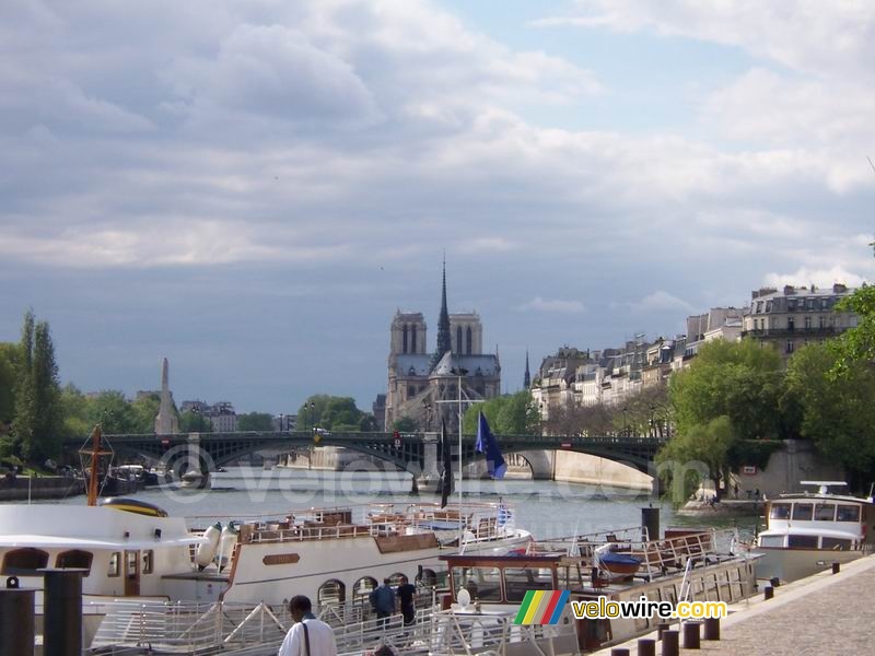 Seine en uitzicht op de Notre Dame
