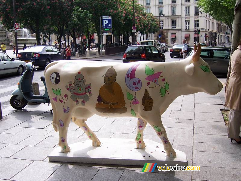 The cow 