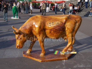 La vache 'Xaintrie' (370x)