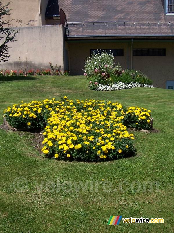 Saint-Jean-de-Maurienne: de gele trui van bloemen