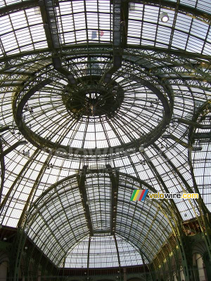 Le toit du Grand Palais (344x)