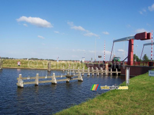 A typical Dutch picture ... (236x)