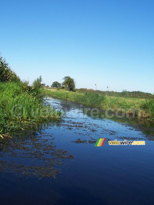 A small river (318x)