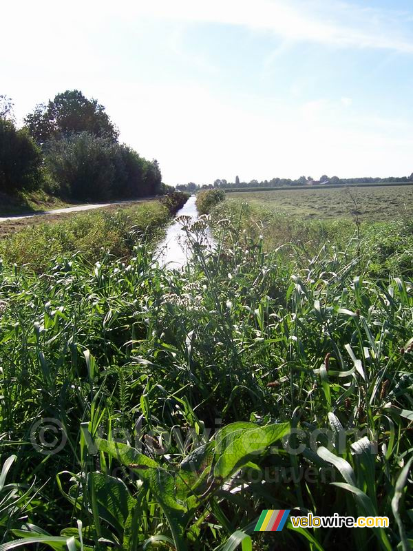 L'autre côté de la petite rivière