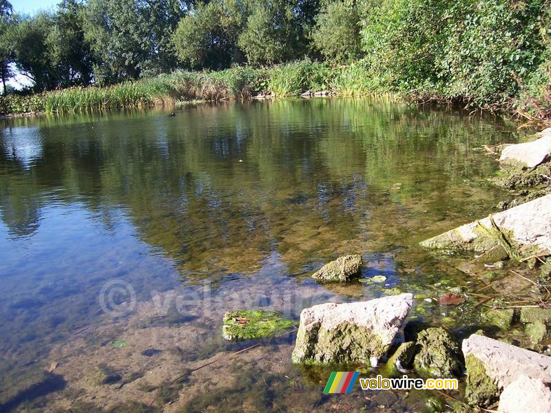 Ook in Wagenberg vind je mooie natuur!!