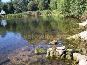 Even in Wagenberg you can find some beautiful nature pictures!! (617x)