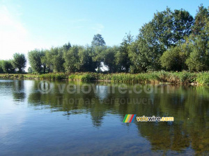 Even in Wagenberg you can find some beautiful nature pictures!! (2) (464x)