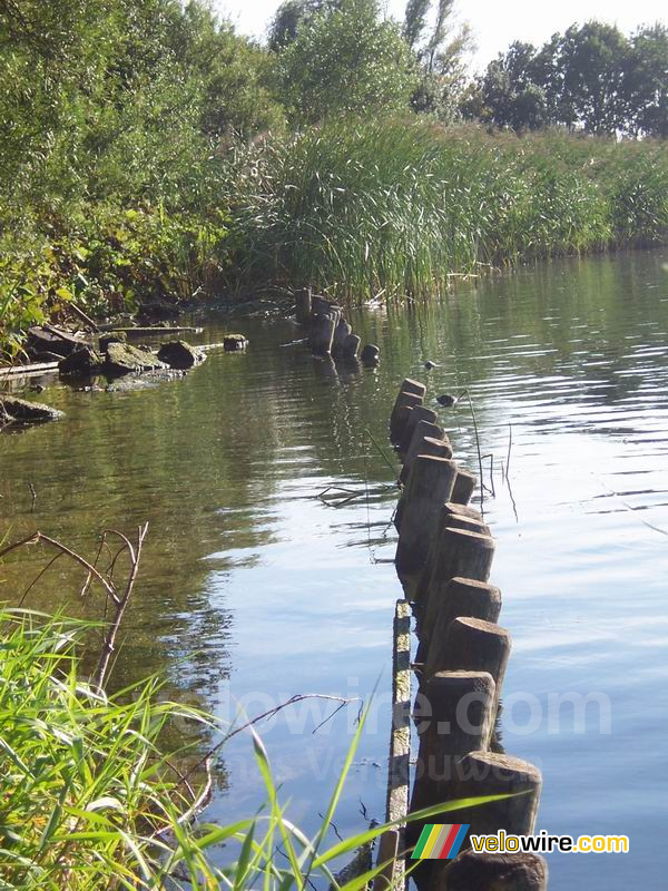 Een stilleven in het water ...