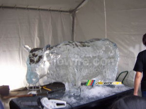 Sculpture de glace d'une vache (449x)
