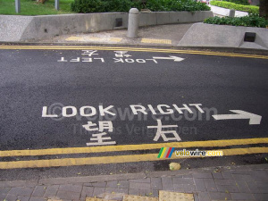 Look left, look right ... ;-) (323x)