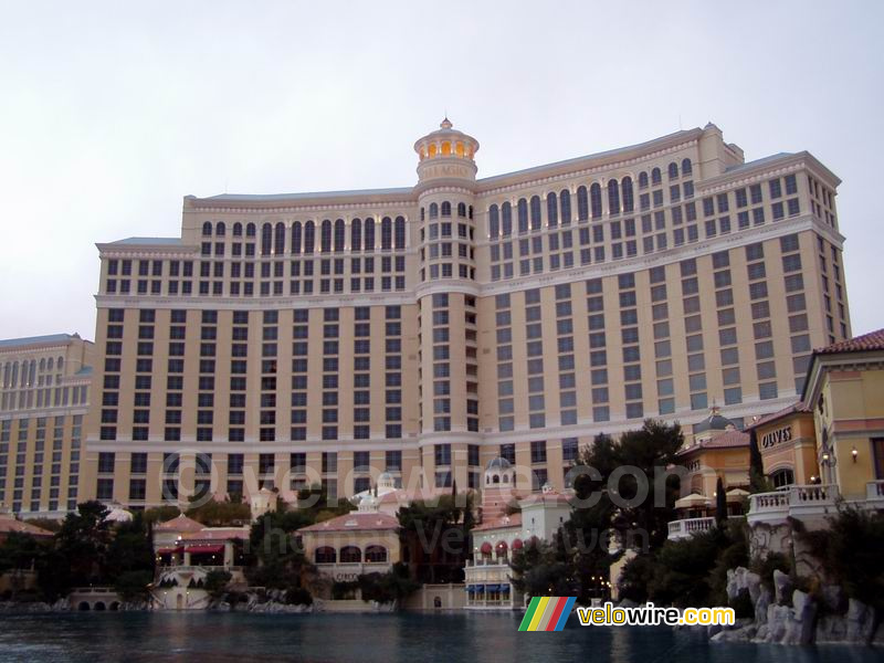 Het Bellagio Hotel (2)