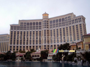 The Bellagio Hotel (2) (252x)