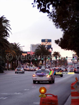 View on The Strip and MGM (238x)