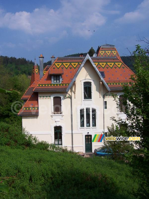 Une jolie maison avec un toit mosaïque (356x)