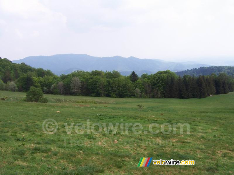 De l'herbe, des arbres et des montagnes : magnifique !!