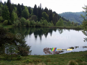 A lake (1) (393x)