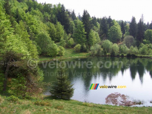 A lake (2) (401x)