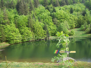 A lake (3) (482x)