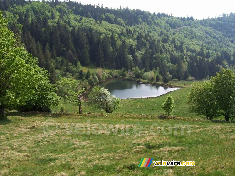 Een meertje in de bossen (2)