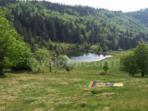 A lake among the trees (2) (1088x)