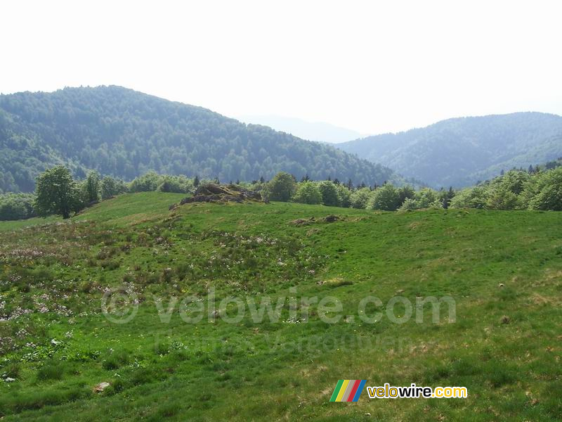 Un paysage vallonné