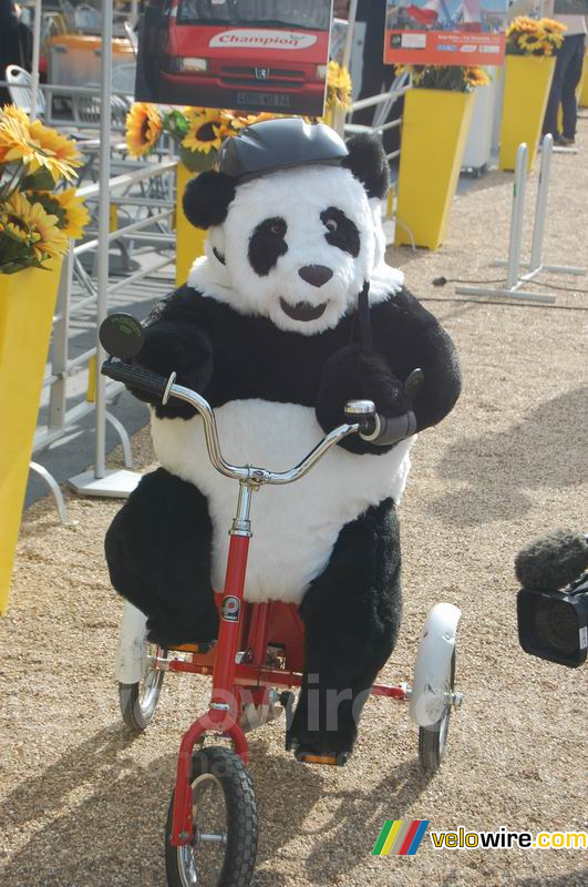 A panda on a bicycle in the Village Départ !