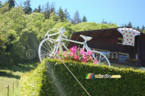 A decorated bike and the polka dot jersey (600x)