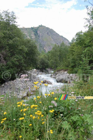 Une petite rivière près de notre lieu de pique-nique (1) (358x)